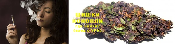 спайс Инсар