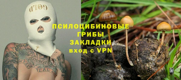 соль ск Зеленодольск