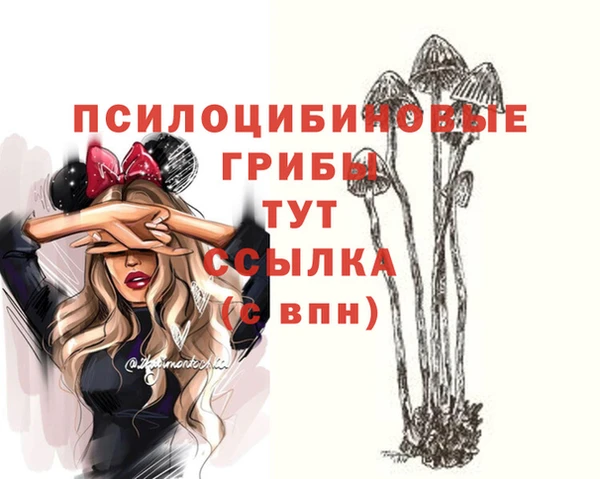 соль ск Зеленодольск