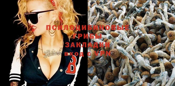 ECSTASY Зеленокумск